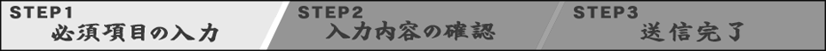 必須項目の入力